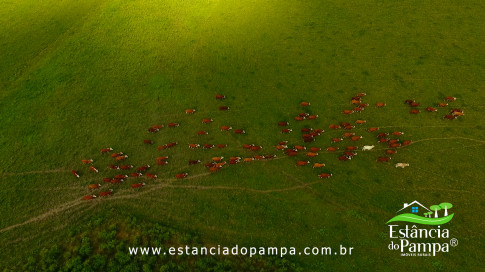 DOS EÓLICOS VIRA P FAZENDA_Moment.00_02_02_19.Quadro185_71317c8fbf4dc7fd4850149419104361407440e0.jpg